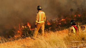 incendioforestal-bombero