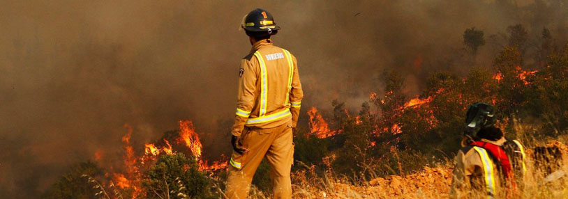ChileCompra dispone plan de contingencia y recomendaciones ante compras de emergencia por incendios en las regiones de Ñuble, Biobío y Araucanía