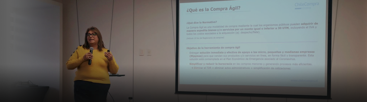 Alianza UNCAC: ChileCompra expone en taller sobre probidad y transparencia en compras públicas