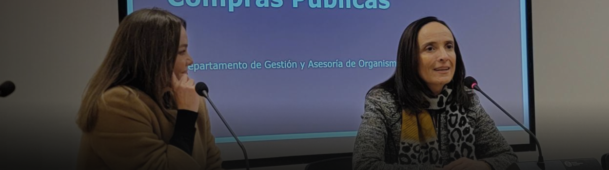 ChileCompra capacita en compras públicas a corporaciones y fundaciones que reciben fondos del Ministerio de Cultura