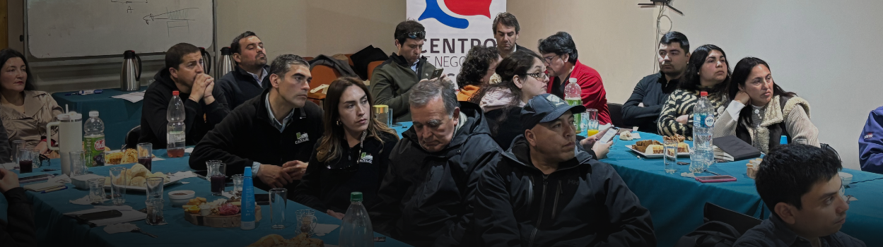 ChileCompra fortalece vínculo con proveedores y municipios a través de capacitaciones y encuentros a nivel nacional