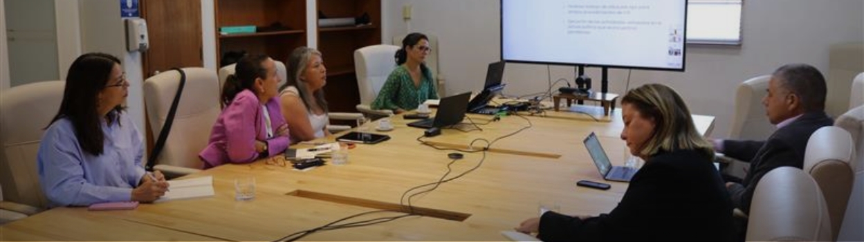 Comité de Compra Pública de Innovación y Sustentabilidad inicia el año 2026 con revisión del Informe Anual para el Congreso