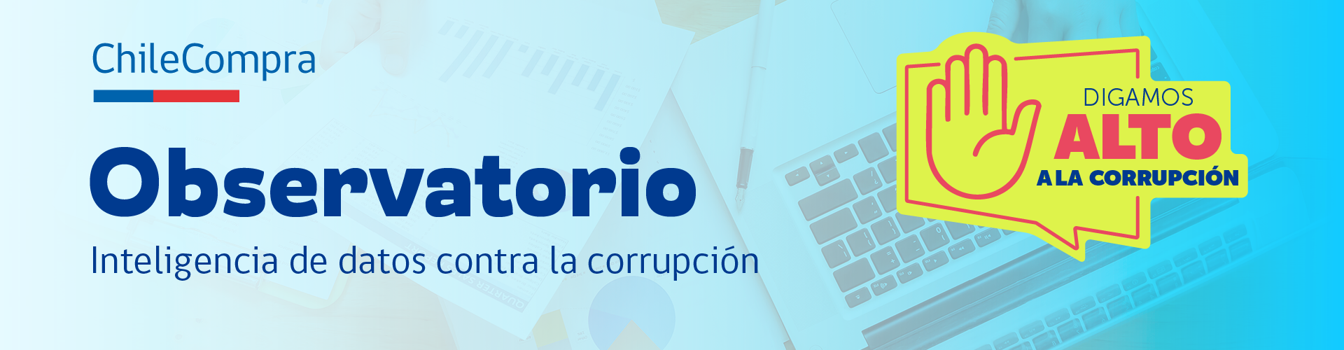 header-observatorio8 header-observatorio8