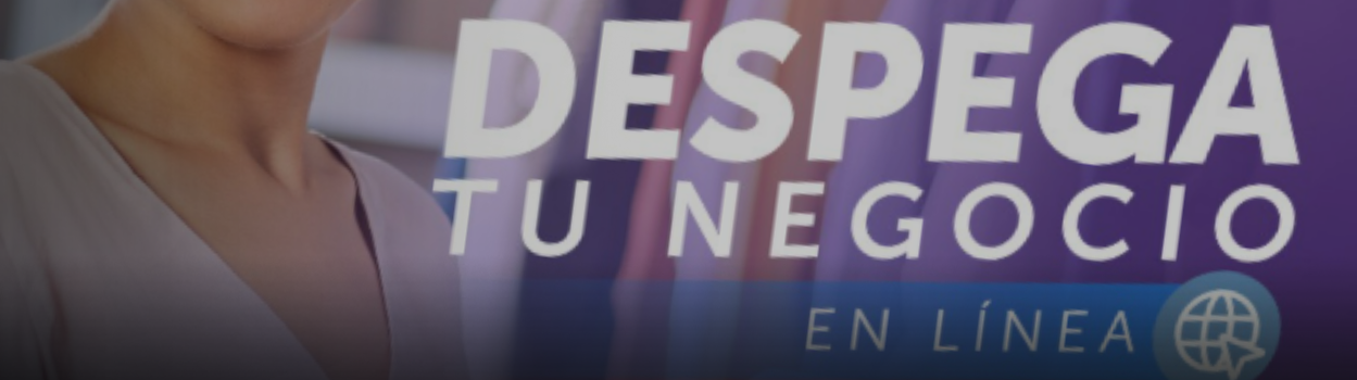 Despega Mipe en Línea: Sence y ChileCompra impulsan capacitación gratuita para mipymes