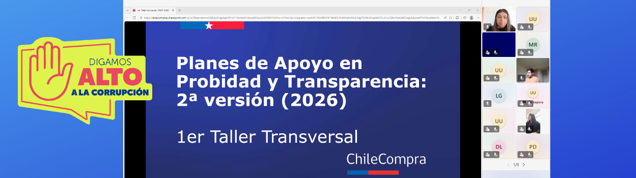 Más de 250 personas participaron en el primer taller del programa Planes de Apoyo en Probidad y Transparencia 2026